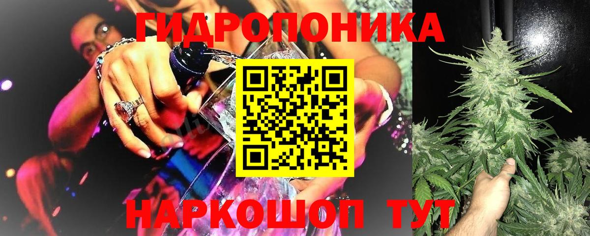 Канабис конопля Советский